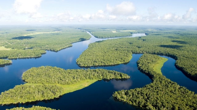 Amazon-river-111